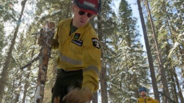 El Distrito de Bomberos de Calgary lanza un equipo ampliado de bomberos forestales para la temporada 2024
