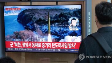 PPP lambasts N.K. missile launch as attempt to stoke domestic tensions in S. Korea ahead of elections
