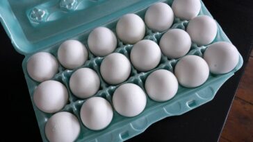 El mayor productor de huevos de EE.UU. detiene la producción en su planta de Texas por la gripe aviar