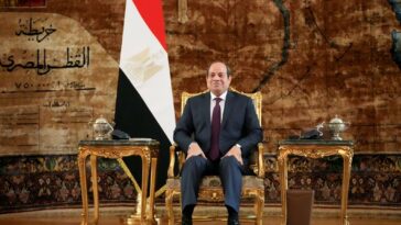Egypt's President Abdel Fattah al-Sisi. (Mark Schiefelbein / POOL / AFP)