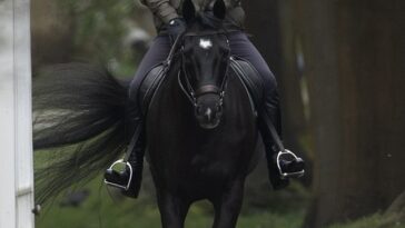 El príncipe Andrés aparece hoy dando un paseo a caballo por la mañana en Windsor.