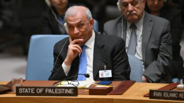Estados Unidos veta que Palestina se convierta en miembro de pleno derecho de las Naciones Unidas
