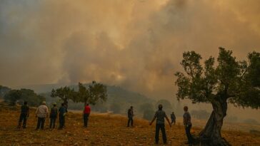 El año pasado, Europa sufrió el año más caluroso jamás registrado.  En esta inquietante foto que refleja el estado del clima moderno, la gente se encuentra frente a un incendio forestal en New Peramos, cerca de Atenas, el 19 de julio de 2023.