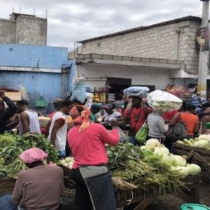 Haití: La crisis afecta a todas las áreas, PMA