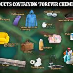Los químicos Forever, también llamados PFAS, se encuentran en productos cotidianos como maquillaje, muebles y utensilios de cocina antiadherentes que pueden terminar en el suelo y en el agua potable.
