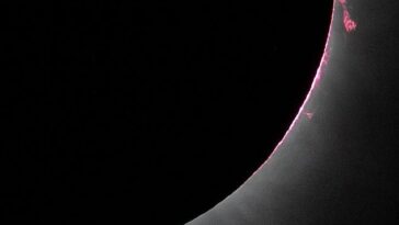 El fotógrafo de la NASA Keegan Barber capturó varias 'prominencias solares' de color rosa brillante durante el eclipse mientras el sol colgaba a casi 93 millones de millas sobre Dallas, Texas, el 8 de abril de 2024 (arriba).
