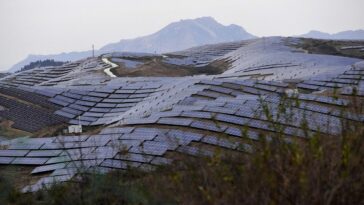 La UE investiga los paneles solares chinos por subsidios potencialmente "distorsivos"