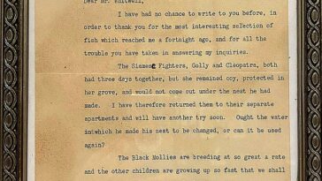 Una carta de Winston Churchill revela sus intentos frustrados de criar peces tropicales en su casa de campo en Chartwell.