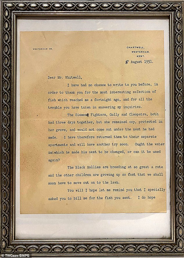 Una carta de Winston Churchill revela sus intentos frustrados de criar peces tropicales en su casa de campo en Chartwell.