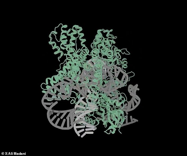 Profluent Bio, con sede en California, desarrolló un sistema capaz de crear una variedad de curas personalizadas para enfermedades mediante el desarrollo de moléculas que nunca han existido en la naturaleza.