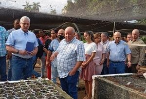 Presidente cubano recorre polos productivos de San José de Las Lajas