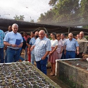 Presidente cubano recorre polos productivos de San José de Las Lajas
