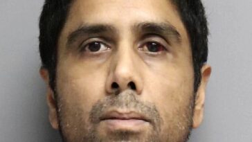 Dharmesh Patel, de 42 años, acusado de conducir intencionalmente su Tesla por un acantilado de 250 pies de Devil Slide pensó que estaba protegiendo a su familia, testificó un psicólogo.