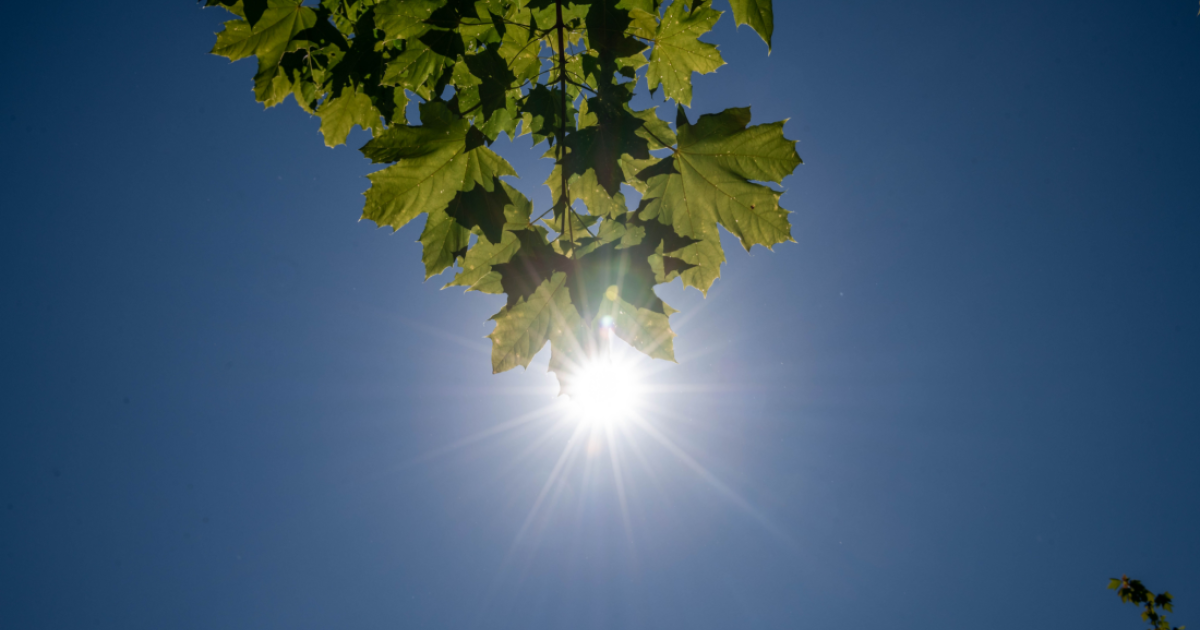 Se pronostica que las temperaturas en Alemania subirán a 28°C este fin de semana
