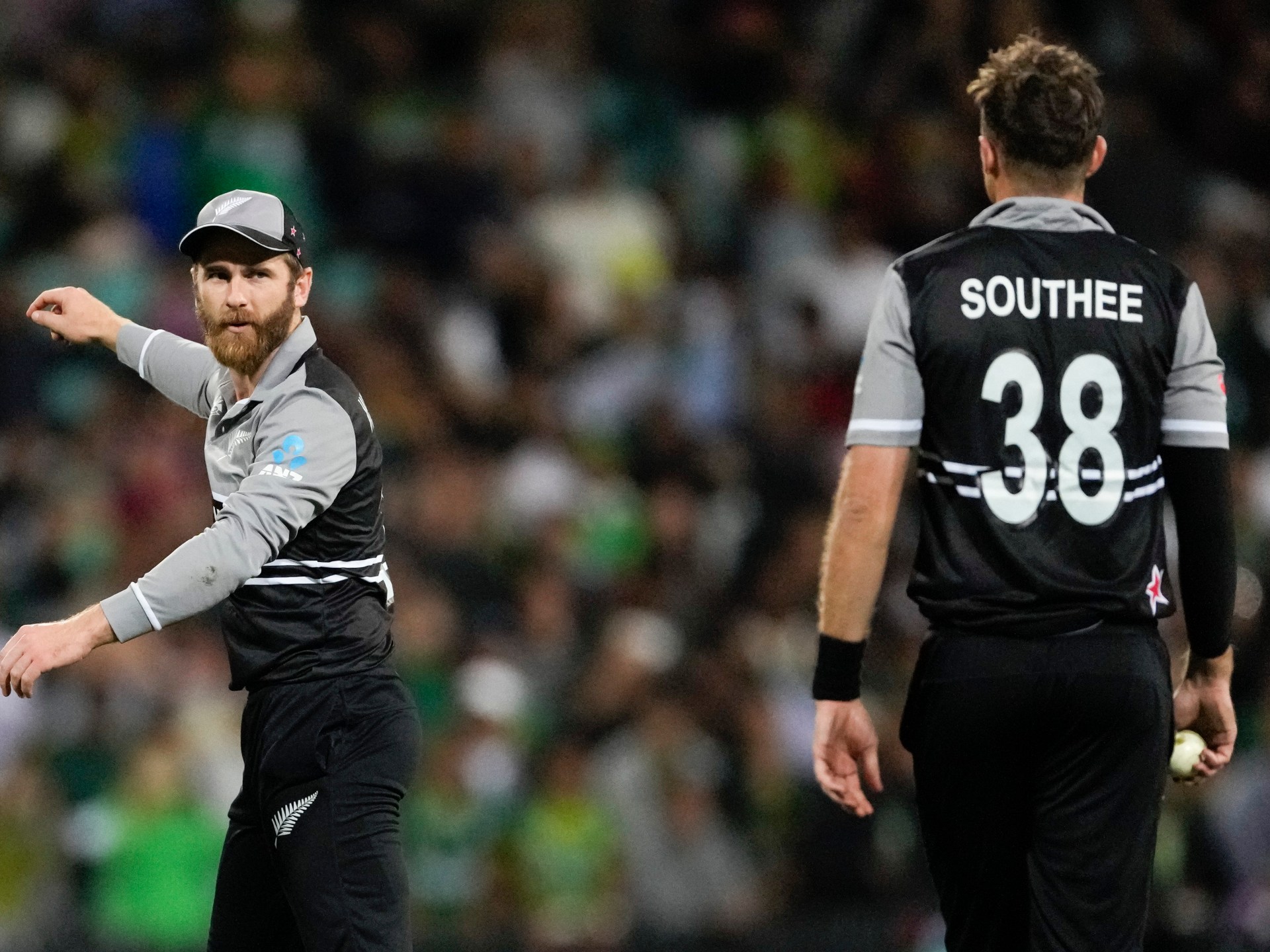 Williamson y Southee nombrados en el equipo experimentado de la Copa Mundial T20 de Nueva Zelanda
