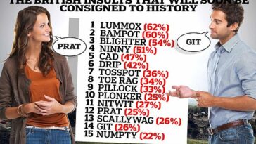 Investigadores de Perspectus Global encuestaron a 2.000 británicos sobre sus insultos favoritos y descubrieron que 15 clásicos desaparecerán en una generación.