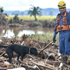 ACTUALIZACIÓN: El número de muertos por inundaciones en Brasil aumenta a 155
