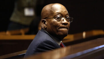 El máximo tribunal de Sudáfrica elimina a Zuma de las urnas |  El guardián Nigeria Noticias