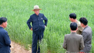 N. Korea&apos;s premier calls for enhancing irrigation amid food shortages