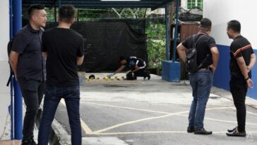 El sospechoso del ataque a la comisaría de policía de Johor era un "lobo solitario", dice el Ministro del Interior de Malasia