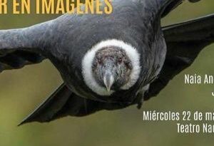 Exposición “Ecuador en Imágenes”: Un viaje por la Biodiversidad