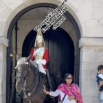 Se puede ver a la turista poniendo su mano en el cuello del caballo mientras posa para una foto.