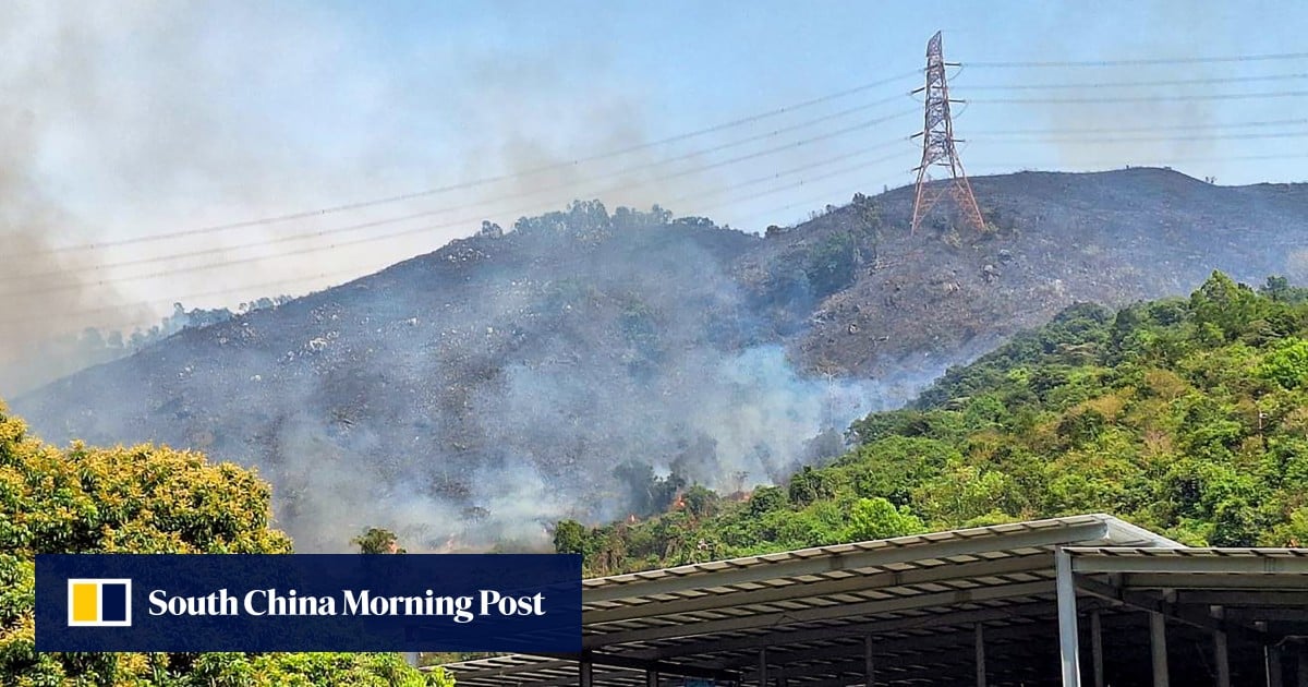 La empresa de servicios públicos de Hong Kong promete garantizar un suministro estable de energía después de las caídas de voltaje
