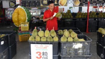 Las granjas de Malasia deben adaptarse al clima extremo, cambiando el sabor para competir por una porción del pastel de durian de China, dicen expertos de la industria.