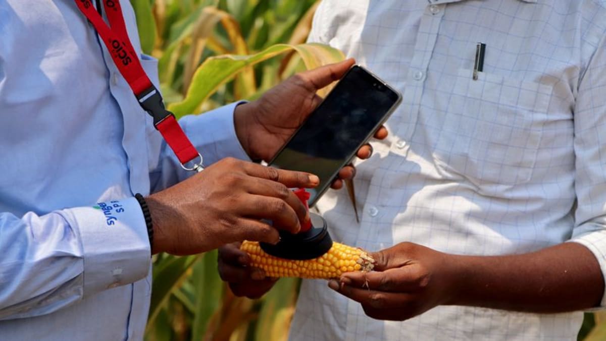 Los datos espaciales impulsan la innovación agrícola de la India
