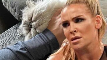 Natalya anuncia que su gato lucha contra el cáncer