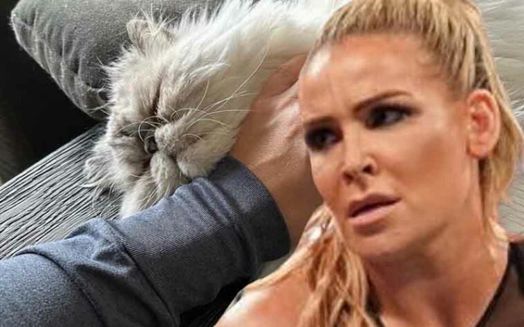 Natalya anuncia que su gato lucha contra el cáncer