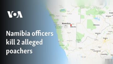 Oficiales de Namibia matan a dos presuntos cazadores furtivos