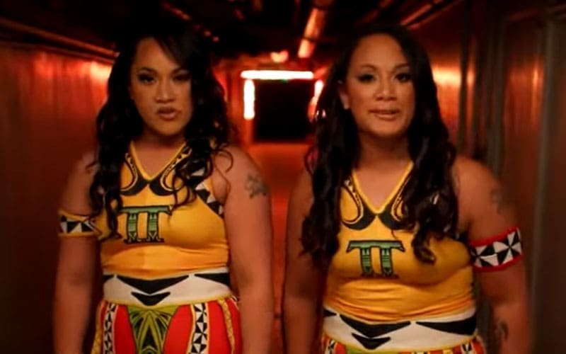 Tonga Twins lanza un desafío a las ex estrellas de la WWE The Bella Twins
