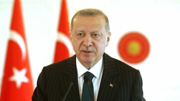 Recep Tayyip Erdogan  credit: Shutterstock/Mr. Claret Red