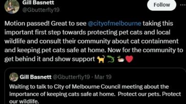 La ciudad de Melbourne está llevando a cabo consultas comunitarias sobre si se debe prohibir a los dueños de gatos dejar salir a sus gatos.