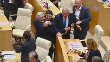 Video.  MIRAR: Estallan enfrentamientos en el parlamento georgiano por la 'ley rusa'