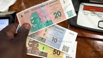 Banknotes of the new national currency Zimbabwe Gold, ZiG for short, are presented at a press conference of the Central Bank of Zimbabwe. (Columbus Mavhunga/picture alliance via Getty Images)