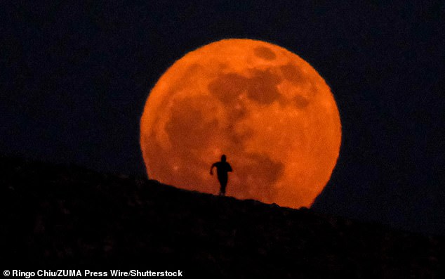 Aquí se explica cómo ver la rara Luna de Fresa, la primera que coincide con el solsticio de verano desde 1985.
