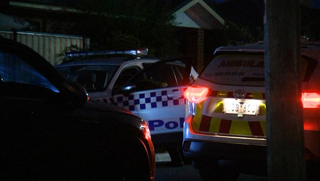 Cuatro personas, incluido un adolescente, fueron encontradas muertas en una propiedad en el norte de Melbourne durante la noche, lo que provocó una investigación policial (en la foto, socorristas en el lugar)