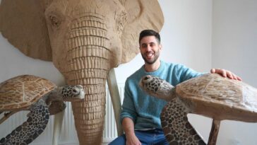 Conozca al artista que crea esculturas de animales de tamaño natural a partir de cartón