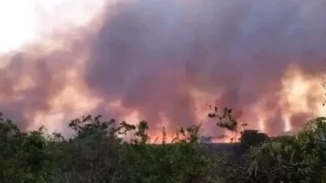 Guatemala contabiliza 92 incendios forestales activos - teleSURespañol