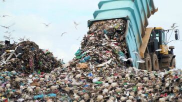 Guerra contra los residuos: cómo aborda la UE los envíos ilegales a los países en desarrollo