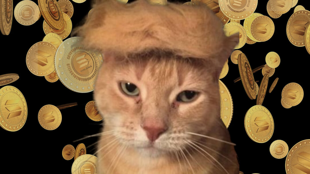 “Meowing America Great Again”: este nuevo memecoin PolitiFi del gato se encuentra con Trump se lanza hoy - CoinJournal
