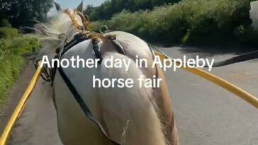 Los videos publicados en TikTok muestran a personas viajando en carros de caballos por caminos rurales y pintorescas calles de pueblos antes del espectáculo.