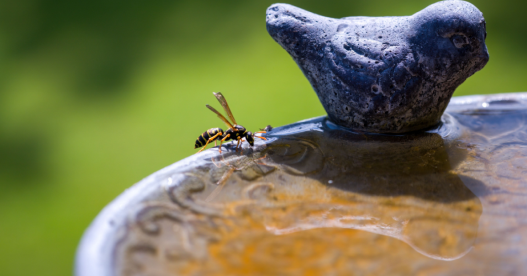 Alerta de calor en Alemania: se esperan temperaturas superiores a los 35 °C
