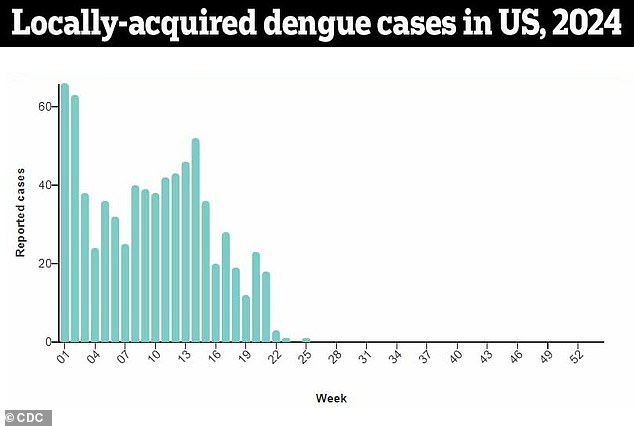 Lo anterior muestra el número de pacientes que dieron positivo para dengue a pesar de no viajar fuera de los Estados Unidos.