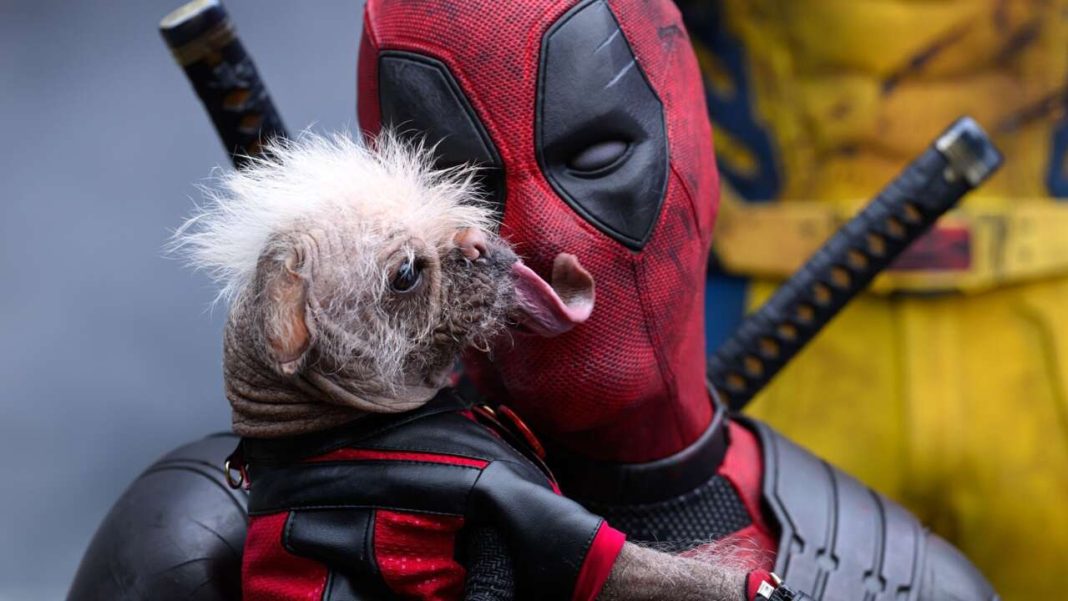 Deadpool y Wolverine: todas las variantes de Deadpool Corps
