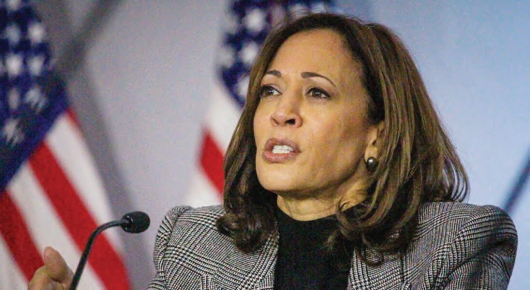 ES EL MOMENTO DE KAMALA: La vicepresidenta Harris está muy cerca de conseguir la nominación demócrata a la presidencia | The Michigan Chronicle
