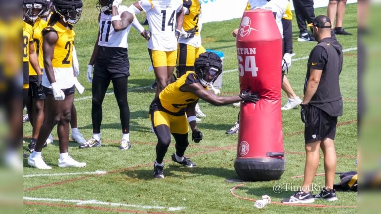 Ryan Watts Pittsburgh Steelers Training Camp