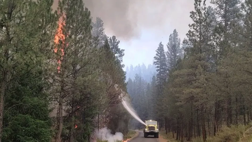 El oeste de EE.UU. lucha contra incendios forestales masivos que provocan evacuaciones - teleSUR
